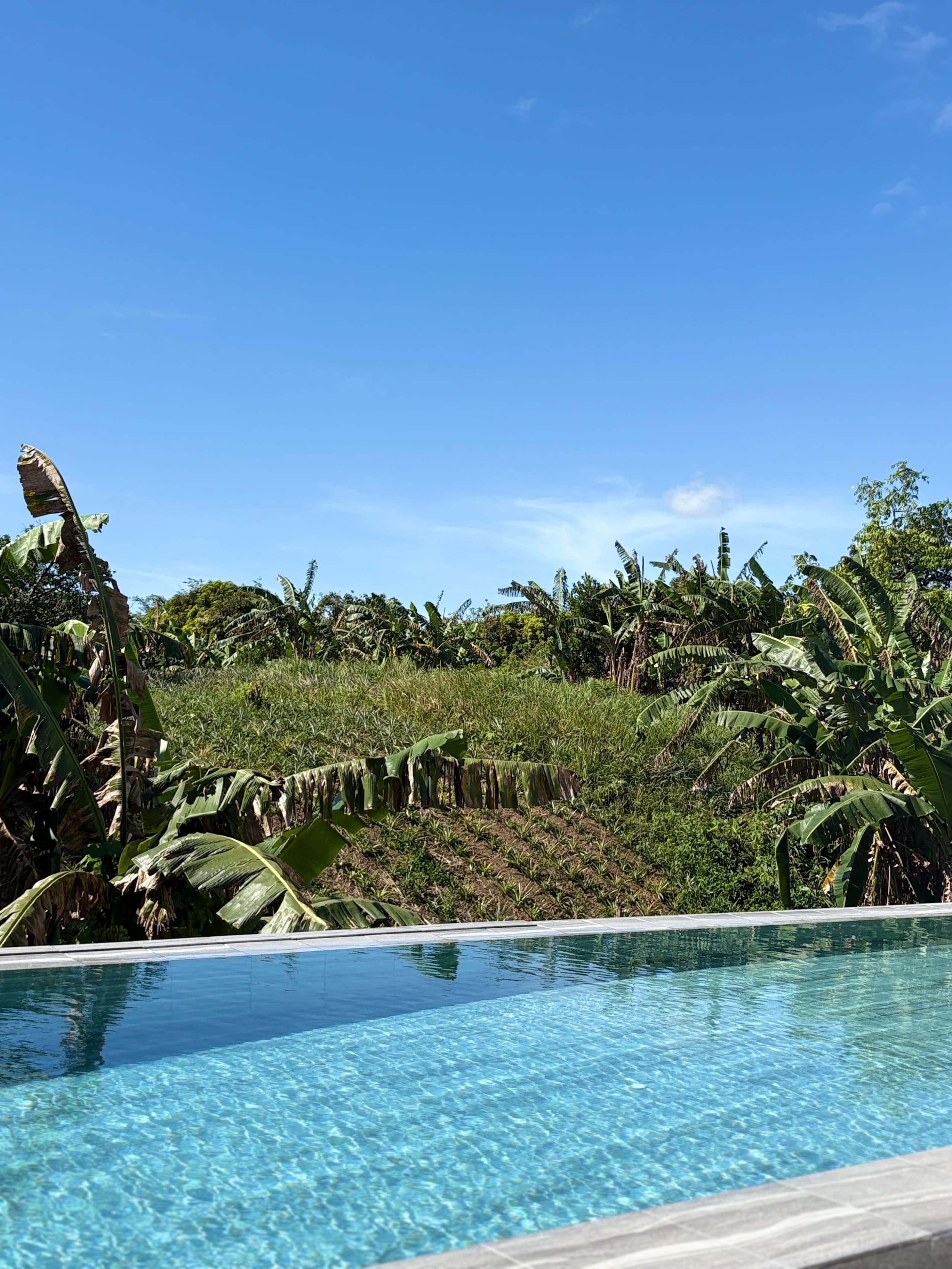 Light-filled interior detail